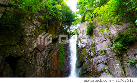 Fresh greenery at Yumori Park, beautiful Doana Falls 81702512