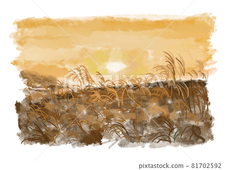 Autumn watercolor illustration pampas grass 1 81702592