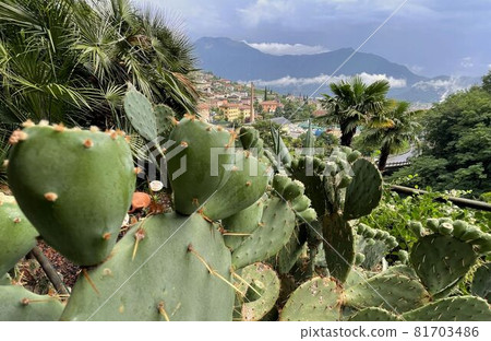 Ruins of roman villa Grottoes of Catullus in sirmione at lake garda in itlay 81703486