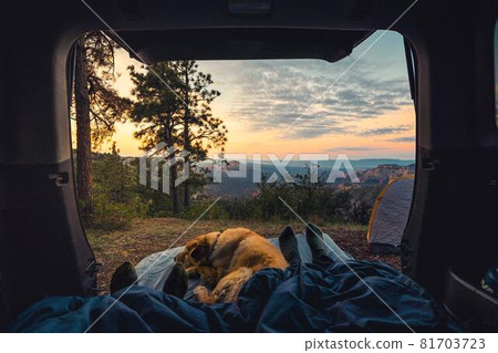 A family and a dog relaxing at an auto campsite 81703723