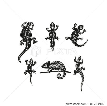 Set of black chameleons with geometric pattern vector illustration isolated. Set of black chameleons with geometric pattern vector illustration isolated. 81703902