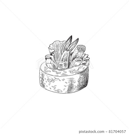 Sushi roll with shrimp and vegetables, engraving vector illustration isolated. 81704057