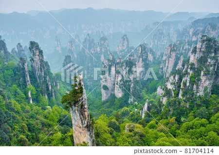 Zhangjiajie mountains, China 81704114
