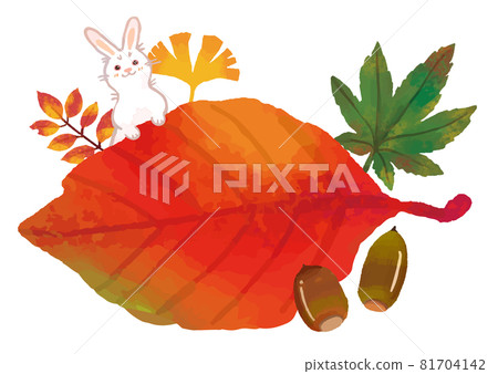 繪本般觸感的紅葉 81704142