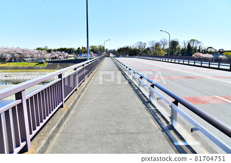 Mutsumi Bridge / View towards Haijima Station from the Tama River (Fussa City, Tokyo) [2020.4] 81704751