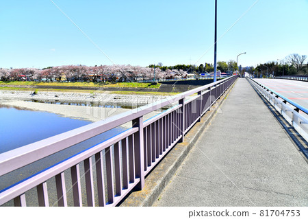 Mutsumi Bridge / View towards Haijima Station from the Tama River (Fussa City, Tokyo) [2020.4] 81704753