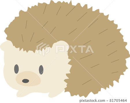 刺猬可愛的人物插畫流行 81705464