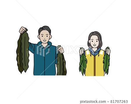 Fisherman kelp wakame seaweed harvest men and women illustration material 81707263