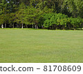 Photo of A meadow in the park 81708609