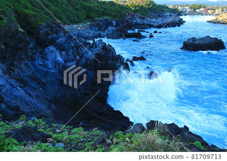 雙路小路,海岸,海灘,燈塔,熔岩,海浪,夜景,晚上 雙路小路,海岸,海灘,燈塔,熔岩,海浪,夜景,晚上 81709713