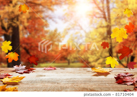 Autumn golden park background with bokeh light and colorful leaves. Autumn golden park background with bokeh light and colorful leaves. 81710404