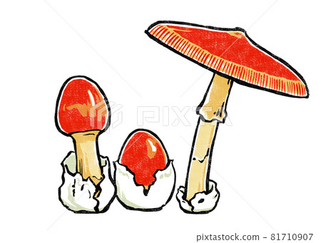 Three tamagotake prints with different growth stages Three tamagotake prints with different growth stages 81710907