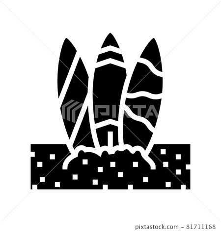 surf board on sand beach glyph icon vector illustration 81711168
