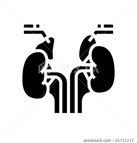 adrenals endocrinology glyph icon vector illustration adrenals endocrinology glyph icon vector illustration 81711215