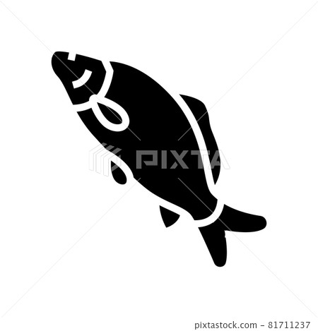 common carp glyph icon vector illustration 81711237