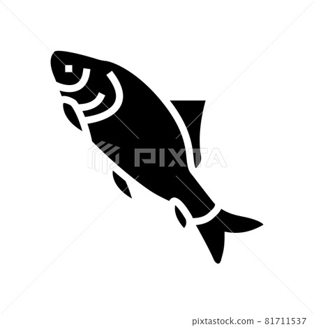 catla catla fish glyph icon vector illustration 81711537