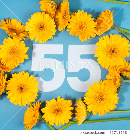 Number 55 surrounded with yellow gerbera flowers on blue background. 81711538