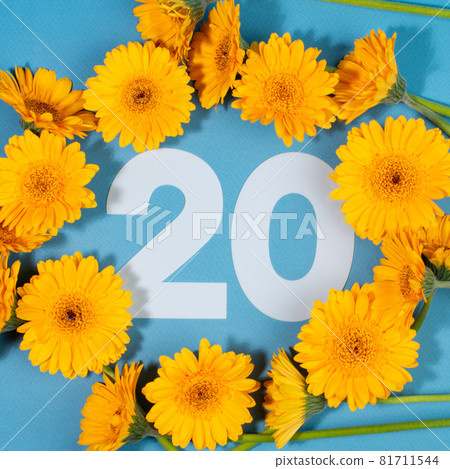 Number 20 surrounded with yellow gerbera flowers on blue background. Number 20 surrounded with yellow gerbera flowers on blue background. 81711544
