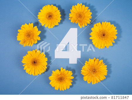 Number 4 surrounded with yellow gerbera flowers on blue background. Number 4 surrounded with yellow gerbera flowers on blue background. 81711847