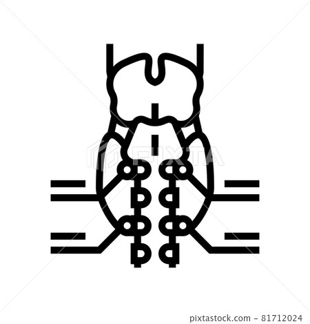 parathyroid gland endocrinology line icon vector illustration 81712024