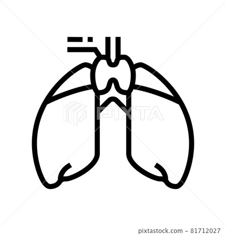 thymus endocrinology line icon vector illustration 81712027