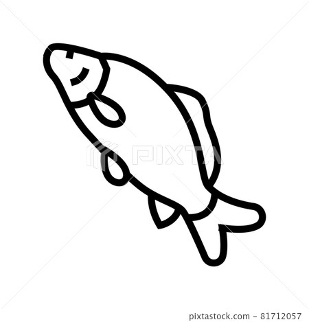 common carp line icon vector illustration 81712057