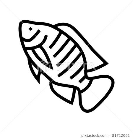 nile tilapia line icon vector illustration 81712061