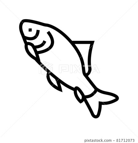 catla catla fish line icon vector illustration 81712073