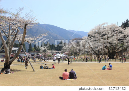 People enjoying the cherry blossoms (Usuzumi Park, Usuzumi cherry blossoms, Motosu City, Gifu Prefecture) People enjoying the cherry blossoms (Usuzumi Park, Usuzumi cherry blossoms, Motosu City, Gifu Prefecture) 81712482