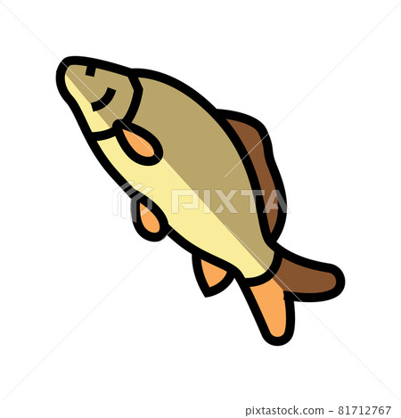 common carp color icon vector illustration 81712767
