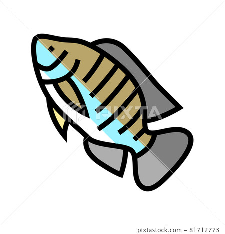 nile tilapia color icon vector illustration nile tilapia color icon vector illustration 81712773