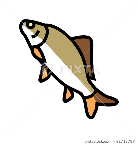 crucian carp color icon vector illustration 81712797