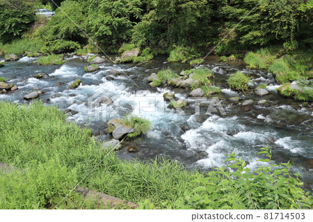 靜岡縣白絲瀑布_7 81714503