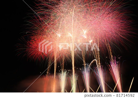 袋井遠州煙火2019_19 81714592