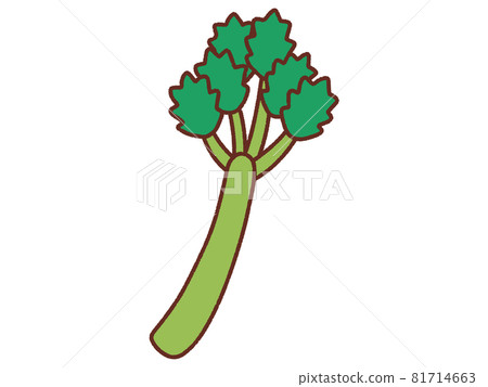 celery celery 81714663