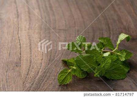 Spearmint 81714797