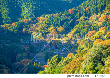 上峰公園附近的山景 秋景 紅葉季節 81714839
