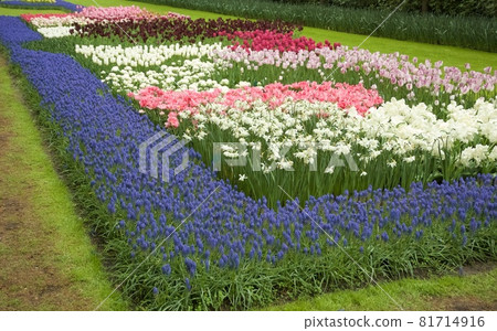 荷蘭庫肯霍夫公園 荷蘭庫肯霍夫公園 81714916