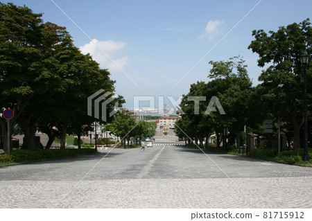 Hakodate's summer Hakodate's summer 81715912