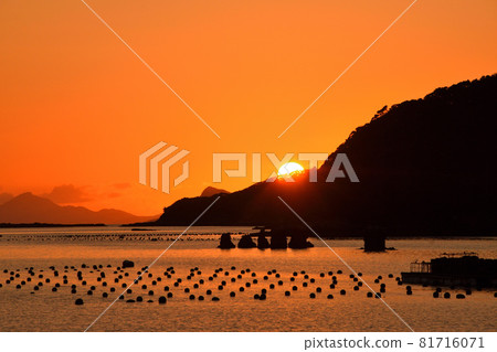 Kujuku島的晚上風景 Kujuku島的晚上風景 81716071