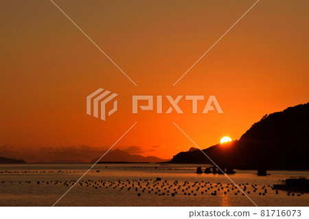 Evening scenery of Kujuku Island 81716073