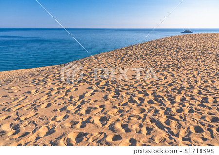 << Tottori Prefecture >> Dawn of Tottori Sand Dunes 81718398
