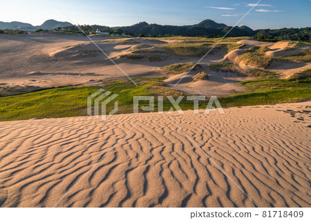 《Tottori Prefecture》 Tottori Sand Dunes / Fumon modeling beauty 81718409