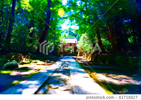 長滿青苔的石板路通往鎌倉五山第三古老的寺廟—壽福寺 81718827