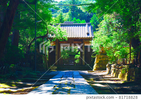 長滿青苔的石板路通往鎌倉五山第三古老的寺廟—壽福寺 81718828