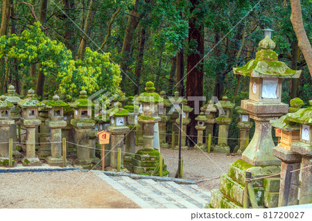 Japanese lanterns at Kasuga-taisha Shrine in Nara 81720027