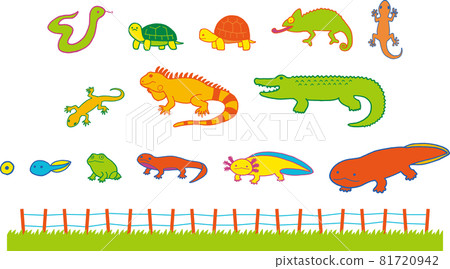 動物（爬蟲類和兩棲類）插圖集（手繪彩色） 81720942
