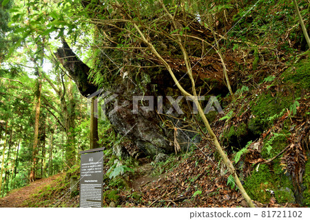 Koyasan-cho stone road (push-up stone) [Koya-cho, Ito-gun, Wakayama Prefecture] 81721102