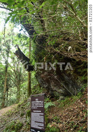 Koyasan-cho stone road (push-up stone) [Koya-cho, Ito-gun, Wakayama Prefecture] 81721103