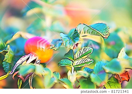 Pastel-like "Hamanasu no Mi" illustration image 81721341